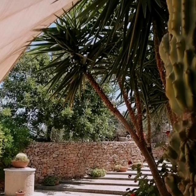 Masseria Agriturismo Il Sorriso Degli Ulivi - Dimora Di Charme Gallipoli Buitenkant foto