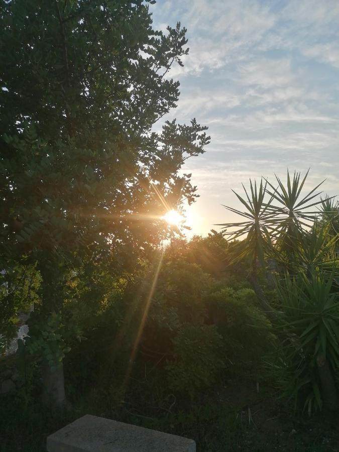 Masseria Agriturismo Il Sorriso Degli Ulivi - Dimora Di Charme Gallipoli Buitenkant foto