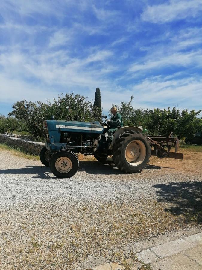 Masseria Agriturismo Il Sorriso Degli Ulivi - Dimora Di Charme Gallipoli Buitenkant foto