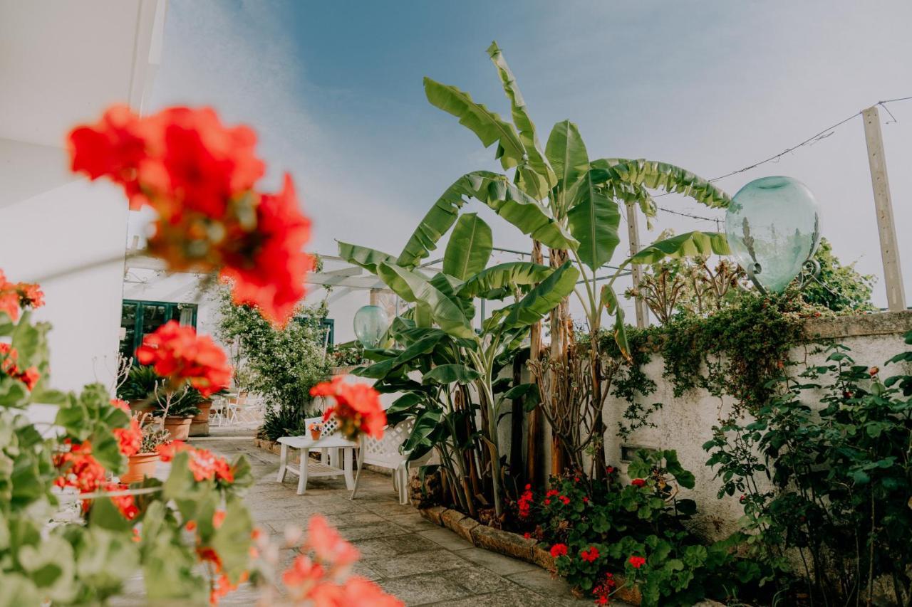 Masseria Agriturismo Il Sorriso Degli Ulivi - Dimora Di Charme Gallipoli Buitenkant foto