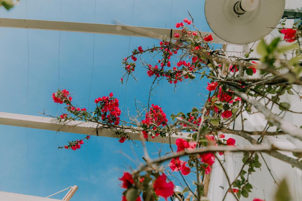 Masseria Agriturismo Il Sorriso Degli Ulivi - Dimora Di Charme Gallipoli Buitenkant foto