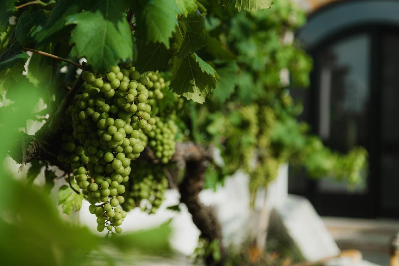 Masseria Agriturismo Il Sorriso Degli Ulivi - Dimora Di Charme Gallipoli Buitenkant foto
